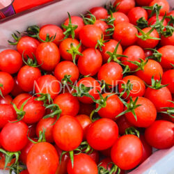 China Dianbai Qianxi Cherry Tomatoes