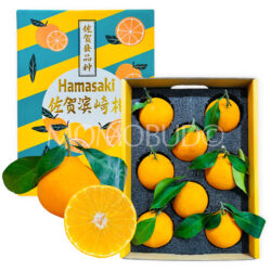 China Saga Hamasaki Mandarin Orange Gift Box (2.25kg approx)