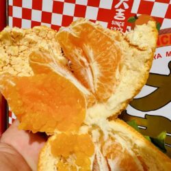 Daji Premium Grade Daya Mandarin pulps