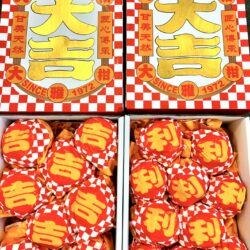 Daji Premium Grade Daya Mandarins (4kg approx)