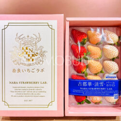 Japanese Nara Strawberry Lab (Pearl White, Awayuki, Kotoka) Gift Box (270g) 2