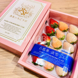 Japanese Nara Strawberry Lab (Pearl White, Awayuki, Kotoka) Gift Box (270g) 3