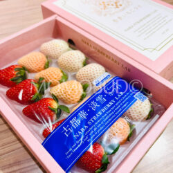 Japanese Nara Strawberry Lab (Pearl White, Awayuki, Kotoka) Gift Box (270g) 4