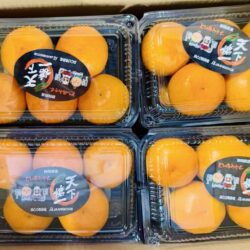 Japanese Tenka Touitsu Mikan (Mandarin Orange, 375g punnets)