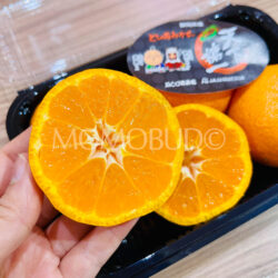 Japanese Tenka Touitsu Mikan (Mandarin Orange) cross section