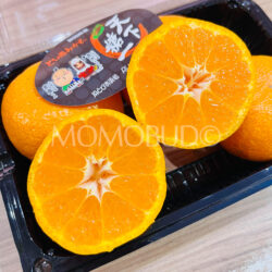 Japanese Tenka Touitsu Mikan (Mandarin Orange) cross section