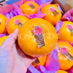 Okukan Sakora Wokan Tangerine