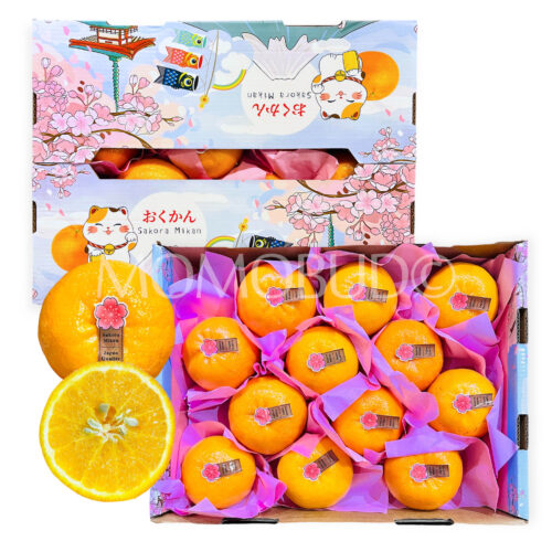 Okukan Sakora Wokan Tangerine Gift Box (2.5kg)