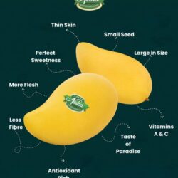 Sri Lanka Nelna Mango characteristics