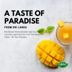 Sri Lanka Nelna Mango poster 2