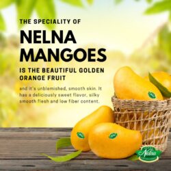 Sri Lanka Nelna Mango poster
