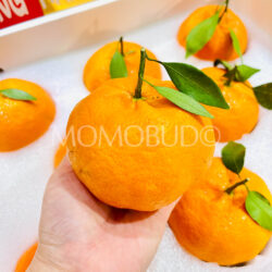 China Jumbo Gan Pin Mandarin Orange China Jumbo Gan Pin Mandarin Orange
