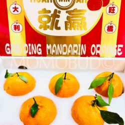 China Jumbo Gan Pin Mandarin Orange Gift Box (3kg approx) 1 China Jumbo Gan Pin Mandarin Orange Gift Box (3kg approx) 1
