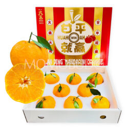 China Jumbo Gan Pin Mandarin Orange Gift Box (3kg approx)