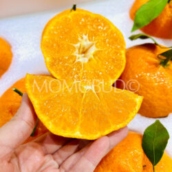 China Jumbo Gan Pin Mandarin Orange slice China Jumbo Gan Pin Mandarin Orange slice