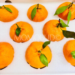 China Jumbo Gan Pin Mandarin Oranges China Jumbo Gan Pin Mandarin Oranges
