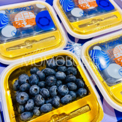 China Jumbo Yuantian Blueberries