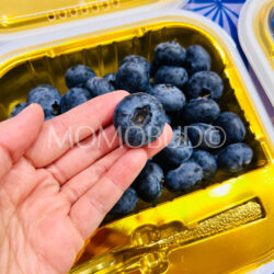 China Jumbo Yuantian Blueberry
