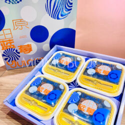 China Jumbo Yuantian Blueberry Gift Box (250gx4)