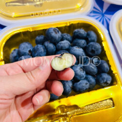 China Jumbo Yuantian Blueberry cross section