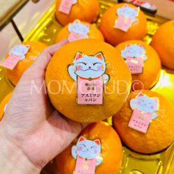 China Ming Ri Jian Asumitsu Mandarin Orange