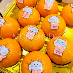 China Ming Ri Jian Asumitsu Mandarin Oranges