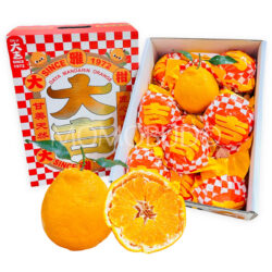 Daji Premium Grade Daya Mandarin (4.5kg approx) new