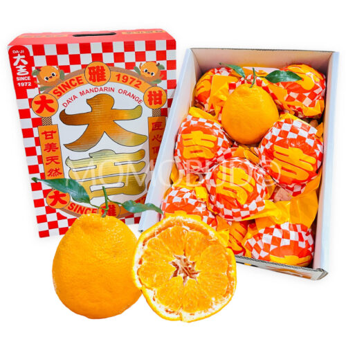 Daji Premium Grade Daya Mandarin (4.5kg approx) new