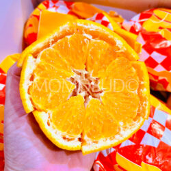 Daji Premium Grade Daya Mandarin cross section Daji Premium Grade Daya Mandarin cross section