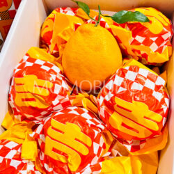 Daji Premium Grade Daya Mandarins Daji Premium Grade Daya Mandarins