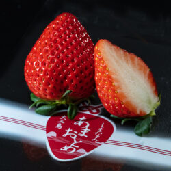 Japanese Ehime Amaotome Ichigo (Strawberry)