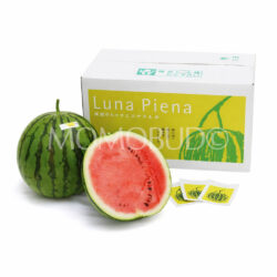 Japanese Kochi Luna Piena Watermelon