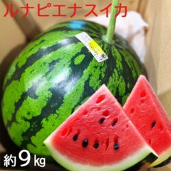 Japanese Kochi Luna Piena Watermelon slice