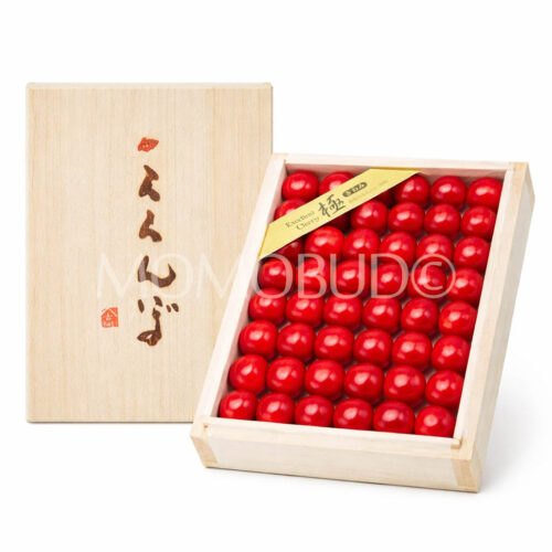 Japanese Kochi Sato Nishiki Sakurabon (Cherry) Wooden Gift Box (Kiwami Grade) 300g Japanese Kochi Sato Nishiki Sakurabon (Cherry) Wooden Gift Box (Kiwami Grade) 300g