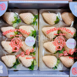Japanese Saga Kokoro no Iro® White Strawberry 240gx2 2