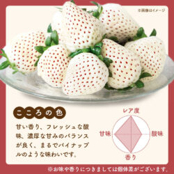 Japanese Saga Kokoro no Iro® White Strawberry poster