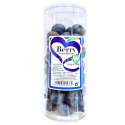 Morocco Berry Sensations Jumbo Sekoya-Pop Blueberry (200g punnet)