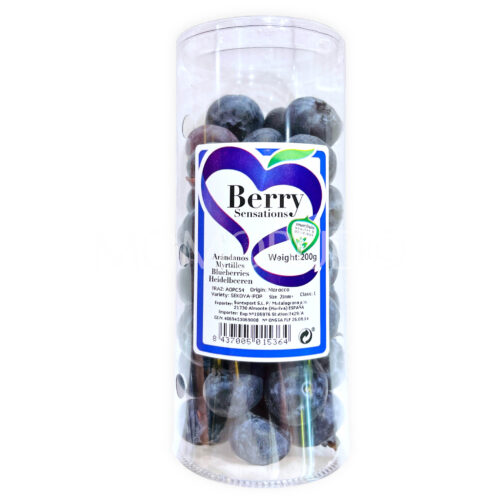 Morocco Berry Sensations Jumbo Sekoya-Pop Blueberry (200g punnet)