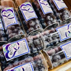 Morocco Berry Sensations Jumbo Sekoya-Pop Blueberry (200g punnets)