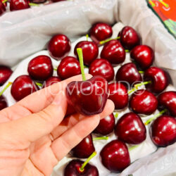 Airflown China Dalian Meizao Red Cherry