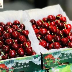 Airflown China Dalian Meizao Red Cherry Gift Boxes (1kg)