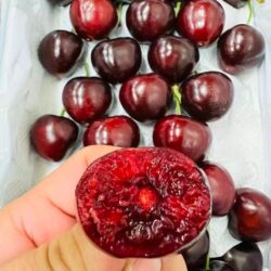 Airflown China Dalian Meizao Red Cherry cross section