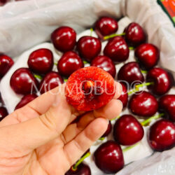 Airflown China Dalian Meizao Red Cherry cross section