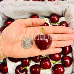 Airflown China Dalian Meizao Red Cherry size comparison