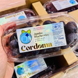 China Cordoma Jumbo Blueberry 22mm+ (200g punnet) 1 China Cordoma Jumbo Blueberry 22mm+ (200g punnet) 1