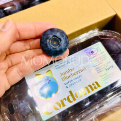 China Cordoma Jumbo Blueberry 22mm+ China Cordoma Jumbo Blueberry 22mm+