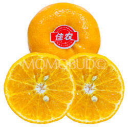 China Jia Nong Mandarin Orange