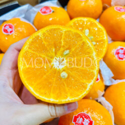 China Jia Nong Mandarin Orange cross section