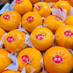 China Jia Nong Mandarin Oranges