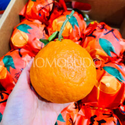 China Xi Dong Hong Red Beauty (Hong Mei Ren) Jelly Orange China Xi Dong Hong Red Beauty (Hong Mei Ren) Jelly Orange